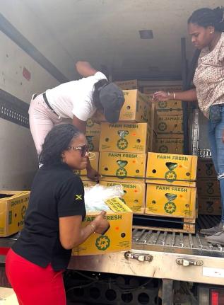 Despite facing significant damage to its own St Mary farm operations, the JP Farms team mobilised swiftly to deliver a truckload of food items – fresh bananas, plantains and assorted St Mary’s snacks – to the Ministry of Labour and Social Security Sa
