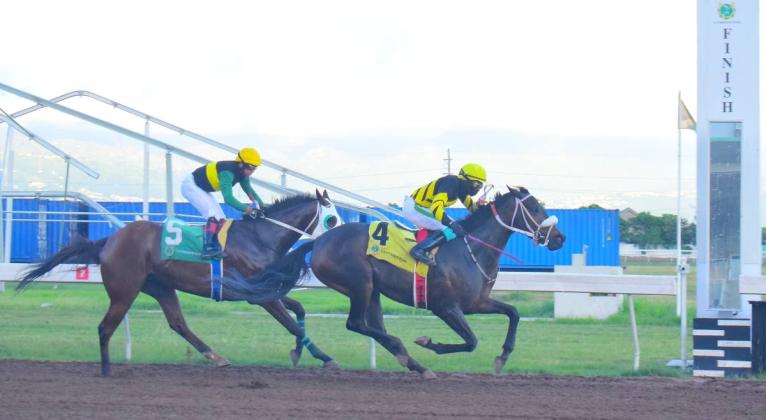 DIGITAL ONE, ridden by Dane Dawkins, wins the the Alsafra Trophy ahead of SUPREMASI (Dick Cardenas) at Caymanas Park yesterday.