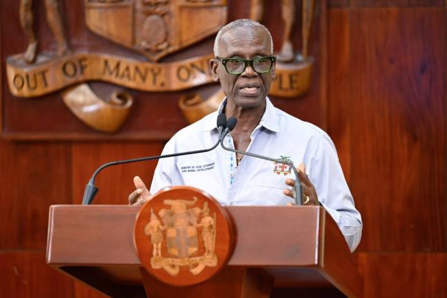 Minister of Local Government and Community Development, Desmond McKenzie.