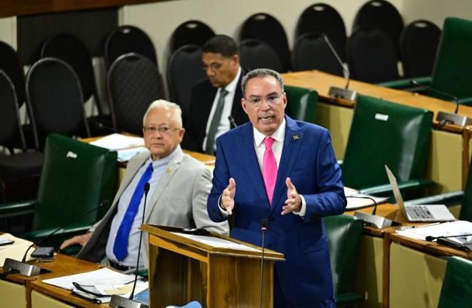 Minister of Energy, Transport and Telecommunications,  Daryl Vaz, making a statement to the House of Representatives on Tuesday, November 25, 2025.