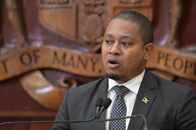 Minister of Agriculture, Floyd Green. - File photo.
