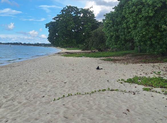 Negril’s famous white sand beach