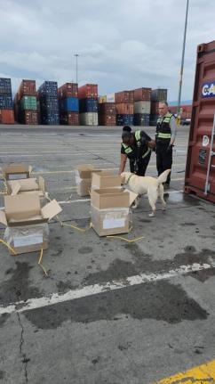 A canine and its handler conduct real-life search at the port as trainer Colonel (Ret) Chavez looks on. 