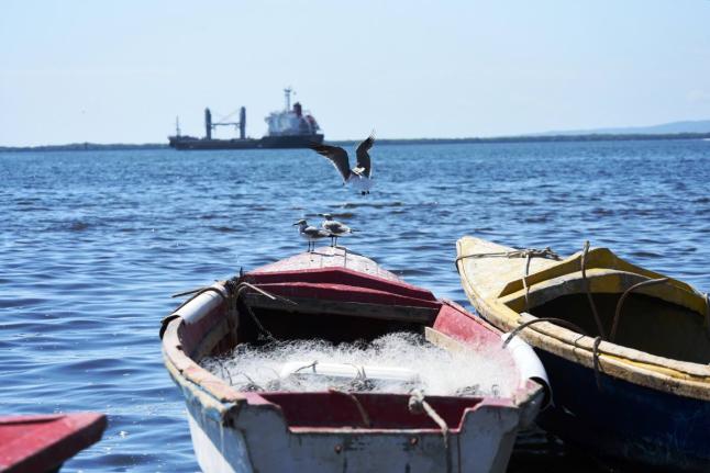 In this file photo, seagulls are seen sitting on a fishing boat at Kingston Harbour.