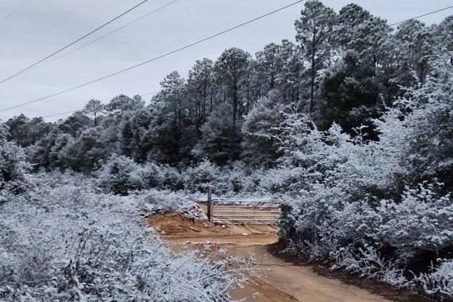 A rare snow is seen in Holt, Florida.