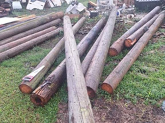 Several Jamaica Public Service poles found on a property in Carawina, Westmoreland.
