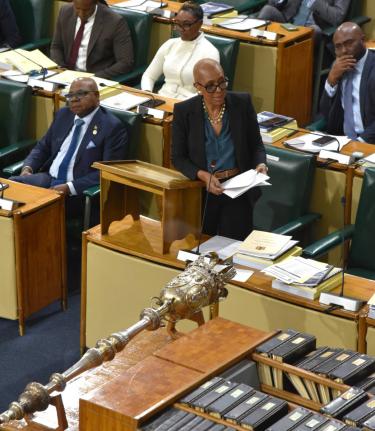 Minister of Finance and the Public Service, Fayval Williams, addressing the House of Representatives on February 12.