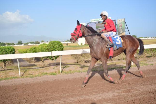 WALL STREET TRADER, the only challenge facing the much-improved Don Kwesi.