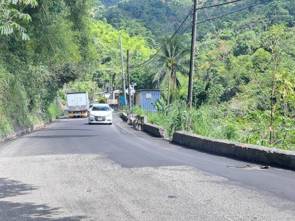 Patching along the Junction main road near Castleton Gardens.