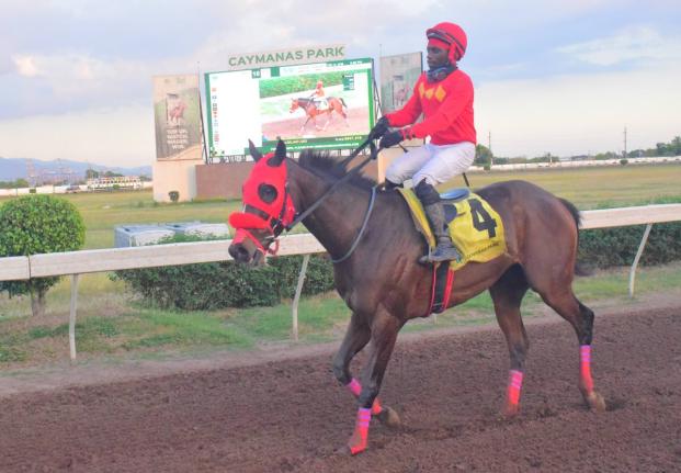 WALL STREET TRADER, ridden by Christopher Mamdeen, wins the Ash Wednesday Trophy an Overnight Allowance Stakes at Caymanas Park yesterday.