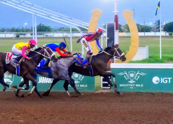 Crown Chaser (right), ridden by multiple Derby winner, Shane Ellis wins the 104th running of The Jamaica Derby over 12 furlongs ahead of Run Julie Run (centre) and Captain Sparrowat Caymanas Park in August 2024.