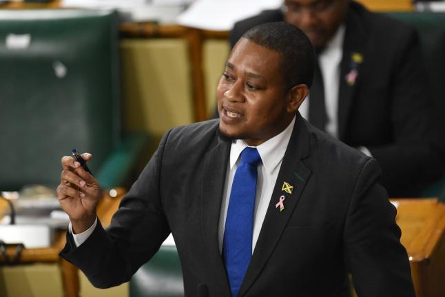 Mining Minister, Floyd Green.