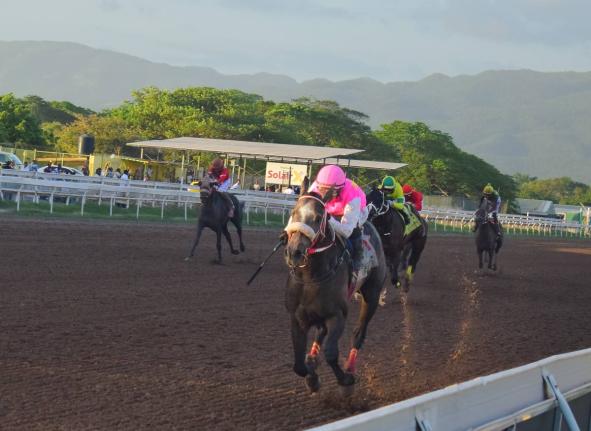 RIDEALLDAY, ridden by overseas-based jockey Javier Castellano, wins the fourth running of the Mouttet at Caymanas Park on Saturday, December 6, 2025.