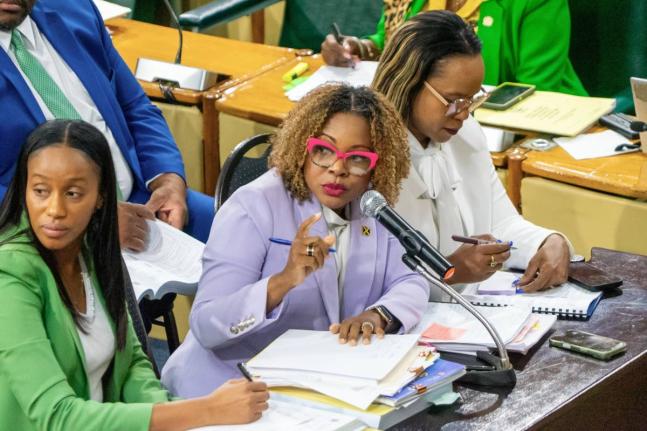 Minister of Education, Skills, Youth and Information, Senator Dr Dana Morris Dixon (centre), addresses Friday’s (March 6) meeting of the Standing Finance Committee of the House of Representatives, whose members reviewed the 2026/27 Estimates of Expenditu