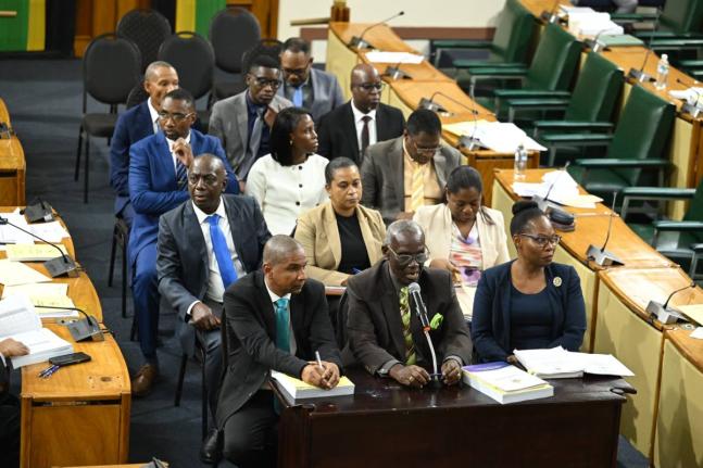 Minister of Local Government and Community Development, Desmond McKenzie (centre, front), responds to questions during a meeting of the Standing Finance Committee of the House of Representatives at Gordon House on March 6. He is joined by Minister of State