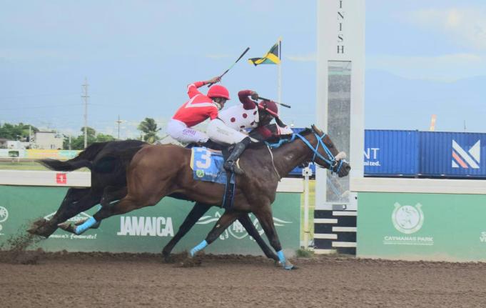 
FUNCAANDUN (right), ridden by Robert Halledeen, wins the Alexander Hamilton Memorial Trophy ahead of SUPER NATURAL POWER (Raddesh Roman) over seven furlongs at Caymanas Park yesterday.