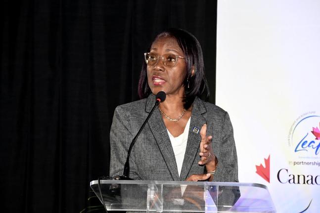Rose Miller, financial education consultant with the JN Foundation, addressing delegates at the Caribbean CSO Conference and World NGO Day, recently.