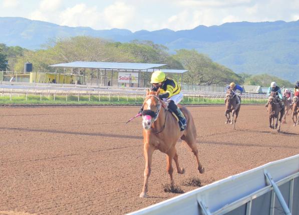 Anthony Minott/Freelance Photographer 
SALUTE THE DON, ridden by Dane Dawkins, wins the 32nd running of the Sir Howard Stakes at Caymanas Park yesterday.
