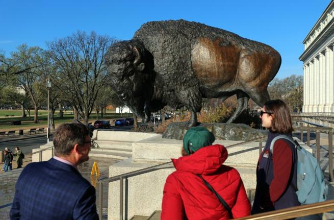 Bison statues cast in bronze are on permanent display outside the Smithsonian’s National Museum of Natural History.