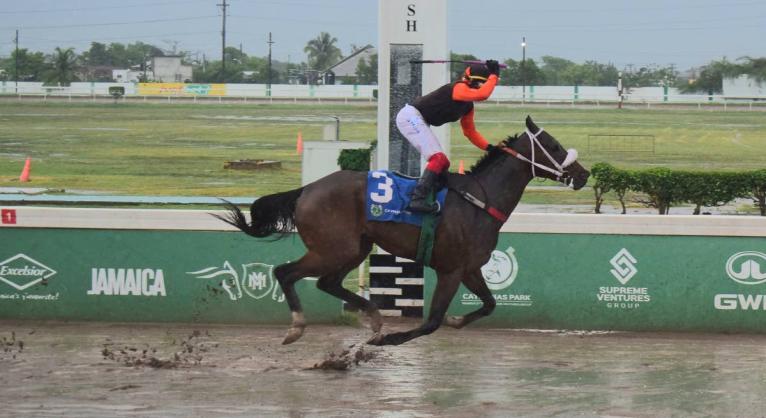
MONEY MARKET, ridden by Dane Dawkins, wins the Gregory Park Sprint  over five and half furlongs at Caymanas Park yesterday.