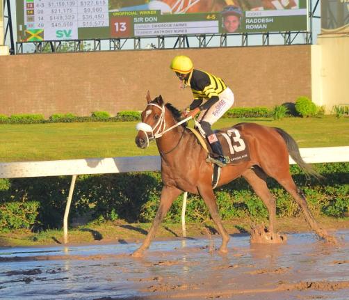 SIR DON, with Raddesh Roman in the saddle, returns to the winners’ enclosuure after capturing the 17th running of the King’s Plate at Caymanas Park yesterday. 