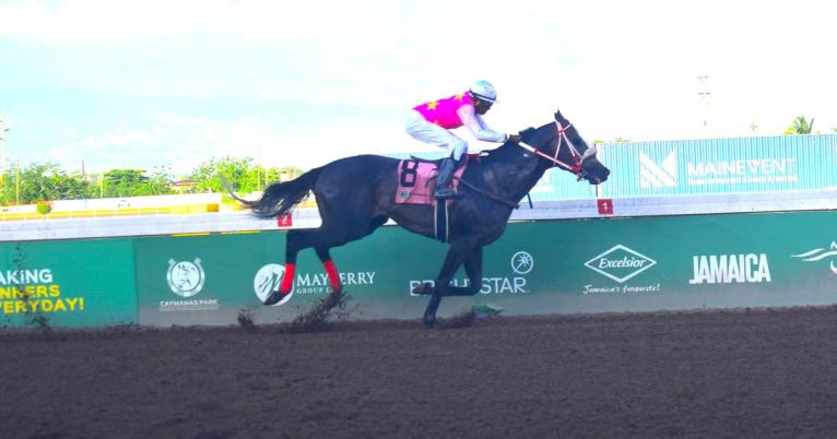 RIDEALLDAY, ridden by Ian Spence, wins the sixth running of the Ian Levy Cup in a track record 1:41:8 seconds at Caymanas Park yesterday. 