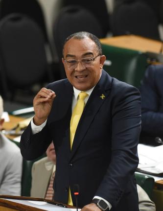 Dr Christopher Tufton, minister of health and wellness.