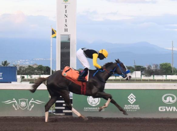 
WE JAMMIN, ridden by Omar Walker, wins the Prince Consort Stakes over seven furlongs at Caymanas Park yesterday.