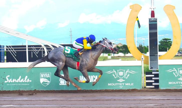 MOJITO, ridden by Dane Dawkins, wins the Kaz Hoshay Trophy over six furlongs, a three-year-old and upwards open-allowance stakes at Caymanas Park on November 2, 2024.