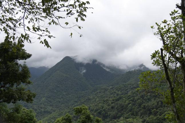 The misty Blue Mountains.
