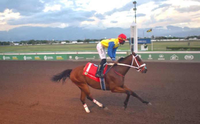MIGHTY GULLY, ridden by Tevin Foster, cruises to victory in the Mabrouk Sprint Trophy over five furlongs straight at Caymanas Park yesterday.