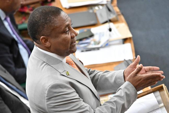 Phillip Paulwell, opposition spokesperson on energy and telecommunications, making his contribution to the Sectoral Debate on Tuesday.