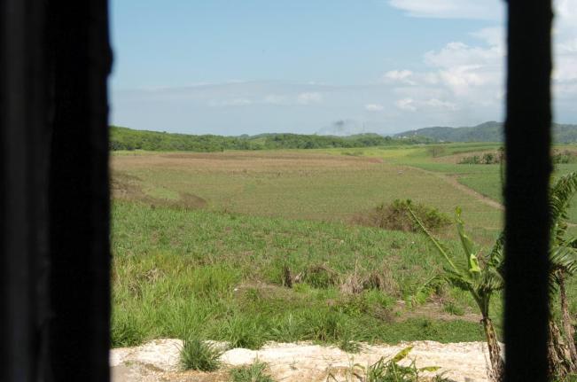 A view of the sugar fields from Hyde Hall Great House, one of the Long Pond great houses on April 21, 2008.