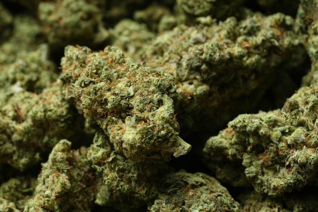 Shown is marijuana at NJ Weedman's Joint dispensary in Trenton, N.J., Thursday, April 23, 2026. (AP Photo/Matt Rourke)