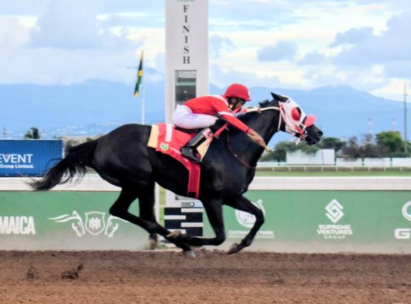 
SUPERNATURAL POWER, ridden by Raddesh Roman, wins the World Vet Day Trophy over a mile at Caymanas Park yesterday.