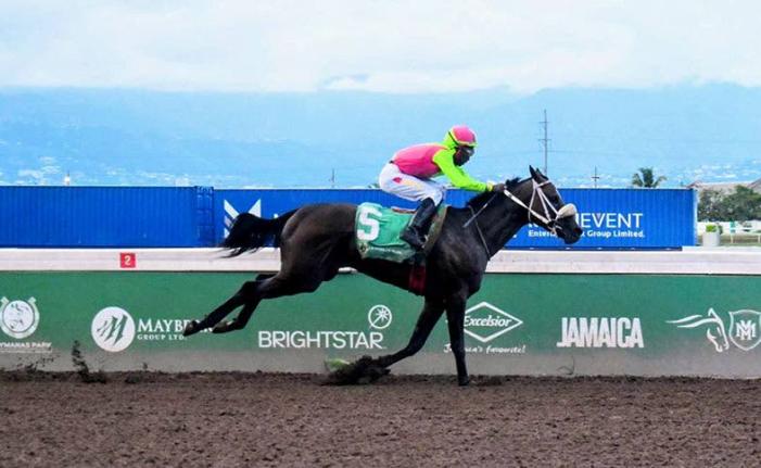 SENOR BISCOTTI, ridden by  Tajay Suckoo, wins the Anybet 12th Anniversary Trophy over 6 1/2 furlongs at Caymanas Park yesterday.