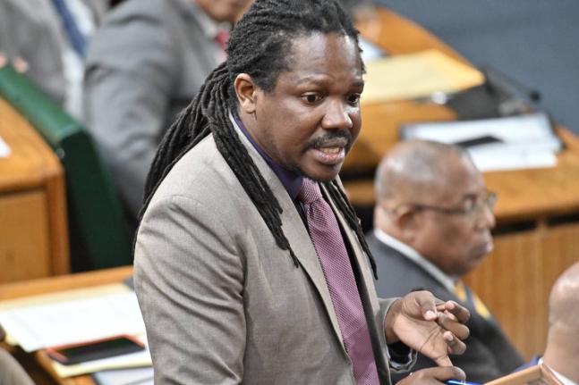 Opposition MP, Damion Crawford. - File photo.