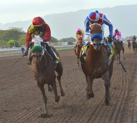 SUPREME SOUL (right), with Shane Ellis aboard, outlasts stablemate TOONA CILIATA (Linton Steadman) to win the Jamaica St Leger and secure the coveted Triple Crown in 2019.