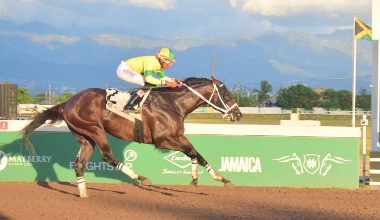 LEGACY ISLE, ridden by Raddesh Roman, wins the Chris Harmond Memorial Sprint Trophy over five-and-a-half furlongs at Caymanas Park yesterday.