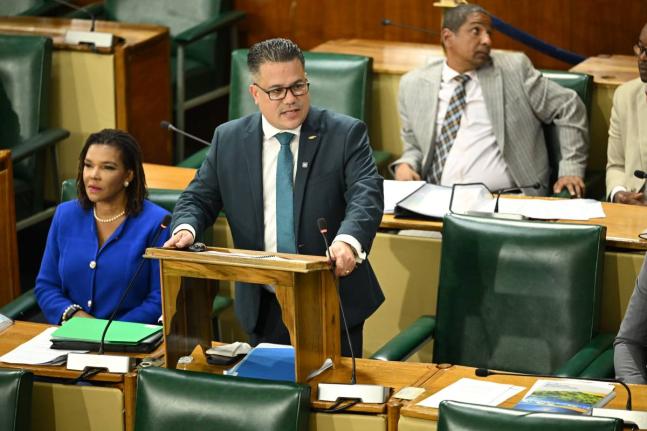 Minister of Water, Environment and Climate Change, Matthew Samuda, highlights a point during his contribution to the 2026/27 Sectoral Debate in the House of Representatives on Tuesday, April 28.