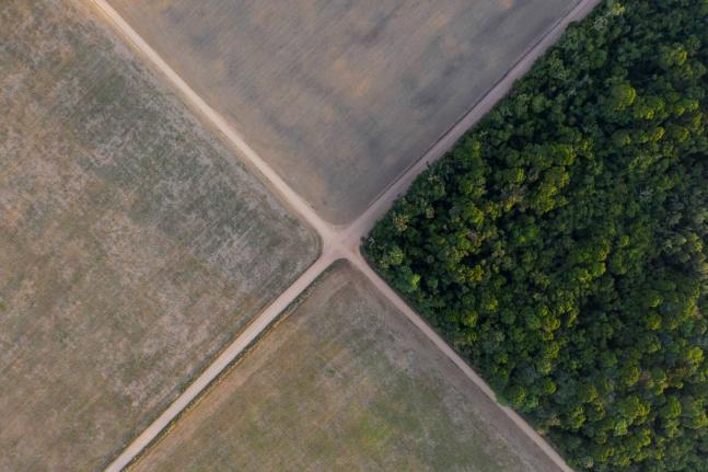 A section of the Amazon rainforest stands next to soy fields in Belterra, Para state, Brazil, on November 30, 2019.