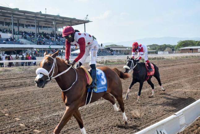 FORMALIST, ridden by Robert Halledeen, wins the Jamaica Jockeys’ Guild Trophy over 6-1/2 furlongs at Caymanas Park on Saturday, August 15,  2026