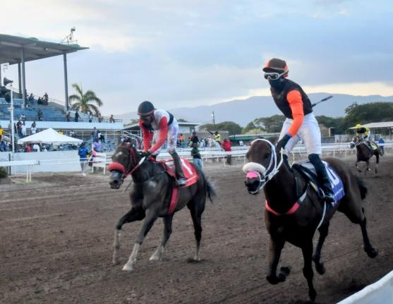 STARDOM (right), ridden by Dane Dawkins, wins the Winston ‘Fanna’ Grifiths OD Classic ahead of  I LOVE BIIRDIE (Reyan Lewis ) at Caymanas Park  yesterday.