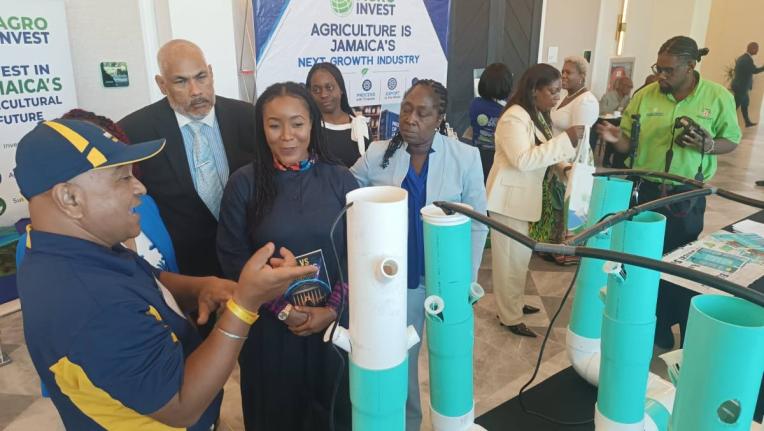 Minister of state in the Ministry of Tourism, Tova Hamilton (fourth left), looks on as Fort Valley State University professor, Dr Bipul Biswas (left), highlights features of equipment used in hydroponic farming at the 10th International Food Security and S