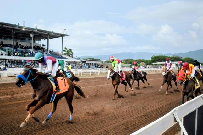 HAIL THE QUEEN, running at long odds at 25-1 and ridden by Omar Walker, wins the eighth race ahead of more fancied rivals over five furlongs round at Caymanas Park yesterday.