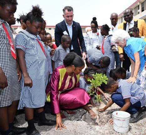 Principal of Tavares Gardens Primary School, Terriann Nisbeth (bending, front row), is joined by her students as they plant a tree during the official launch of the 2026-2027 Trees for Peace Competition on Monday at Tavares Gardens Primary School in Kingst