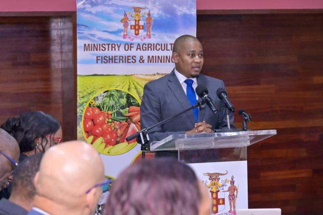 Minister of Agriculture, Fisheries and Mining, Floyd Green, speaking at a media briefing at the Ministry’s Office in St Andrew on September 22.