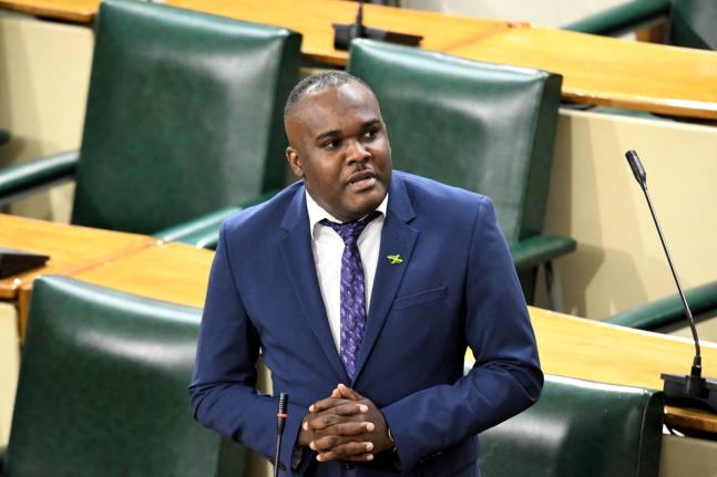 Government Senator Abka Fitz-Henley 