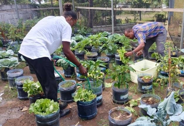 A school garden at the Buff Primary School in Portland.