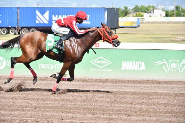 HIT N RUN, ridden by Demar Williams, wins the fourth race over  5-1/2 furlongs at Caymanas Park on Saturday, September 26.